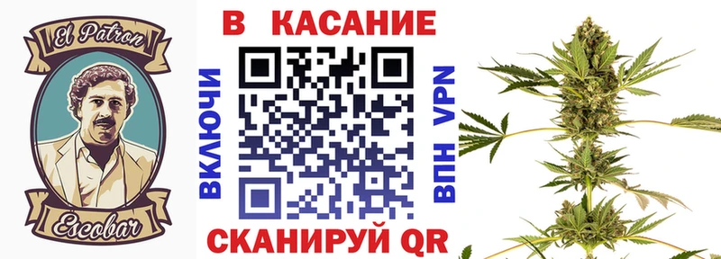 Какие есть наркотики Пятигорск КОКАИН  Галлюциногенные грибы  МАРИХУАНА  Меф  МЕТАМФЕТАМИН  Альфа ПВП 