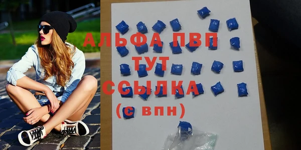 стаф Вяземский