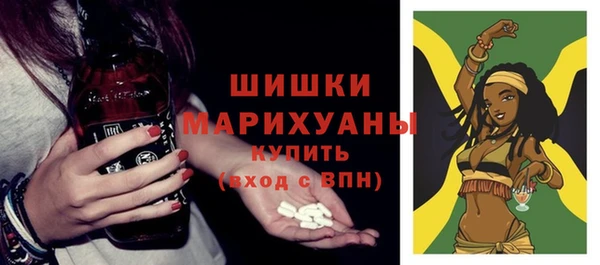 стаф Вяземский