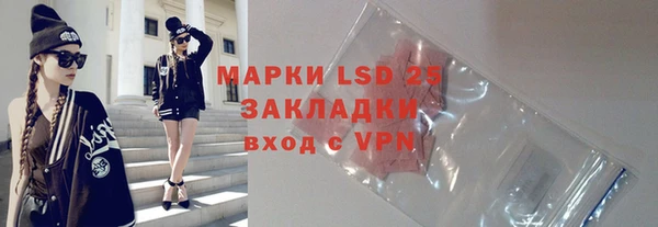 ГАЛЛЮЦИНОГЕННЫЕ ГРИБЫ Вязники