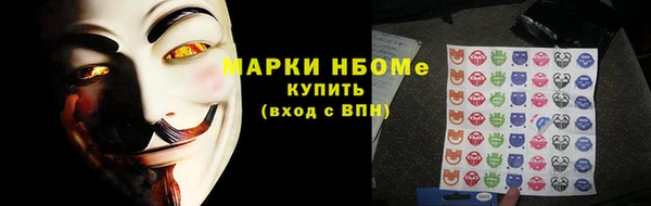 стаф Вяземский