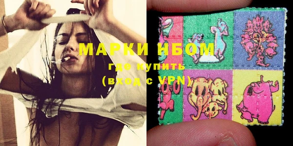 стаф Вяземский