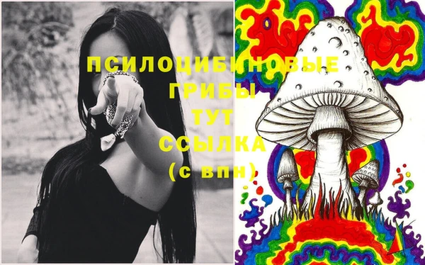 стаф Вяземский