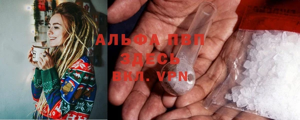 стаф Вяземский